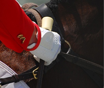 Close up photo of a rider's hand holding reins